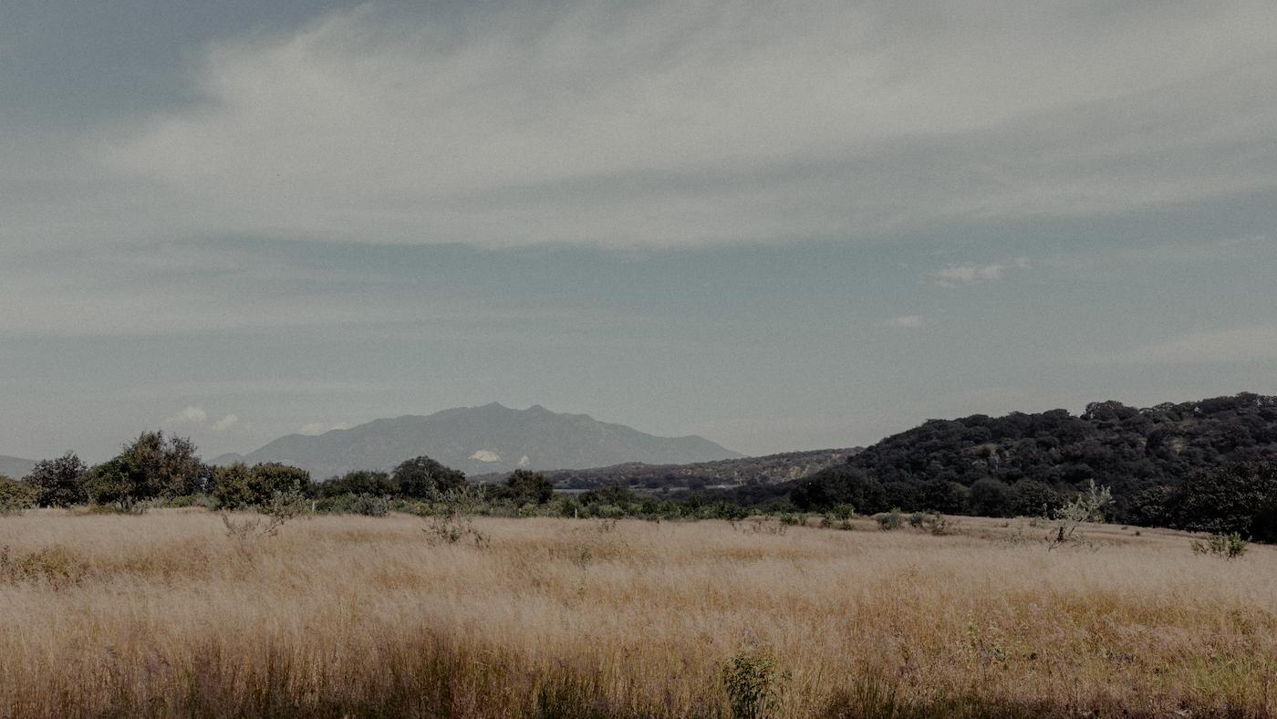 Campo